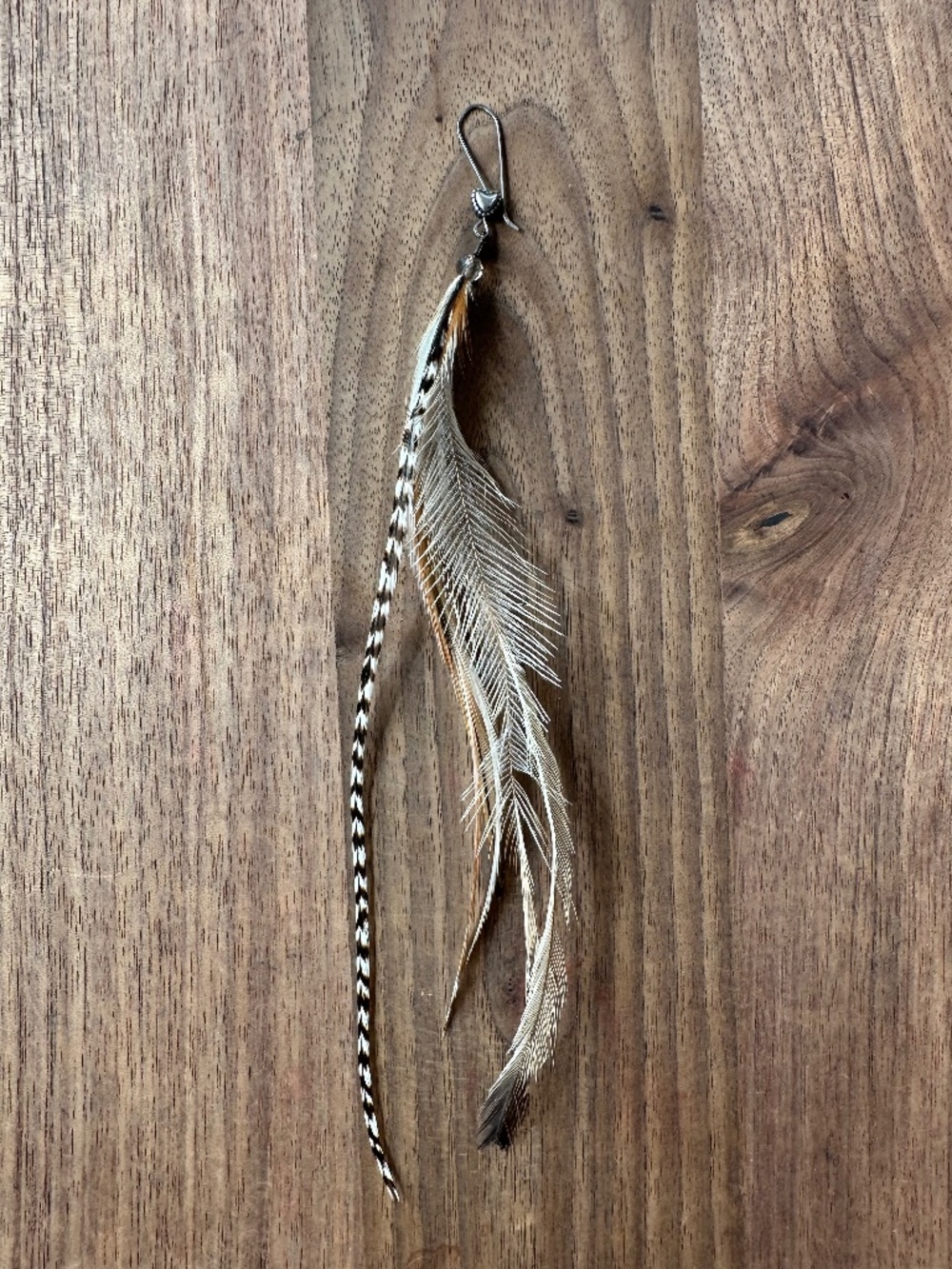 Wild Feather Earring